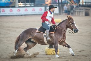 Copa do Mundo do Cavalo Crioulo tem vitórias brasileira e uruguaia