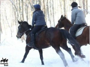 Cavalgada na Transilvânia – Romênia