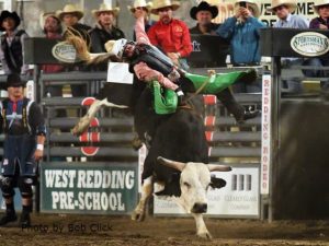 Richardson vence rodeio de Montaria em Touro de Redding