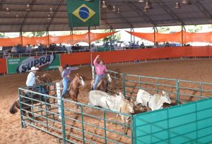 Quarto de Milha premiou SuperHorse a All-Around do Congresso