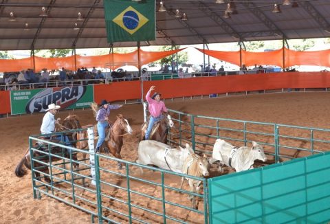Quarto de Milha premiou SuperHorse a All-Around do Congresso
