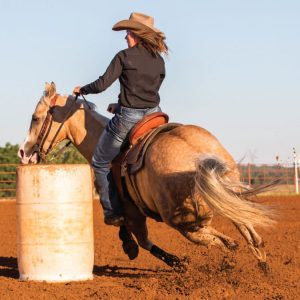 Círculos para o treinamento de cavalos de Tambor