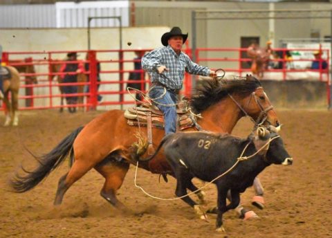 Final do PRCA National Circuit Steer Roping realizada final de abril