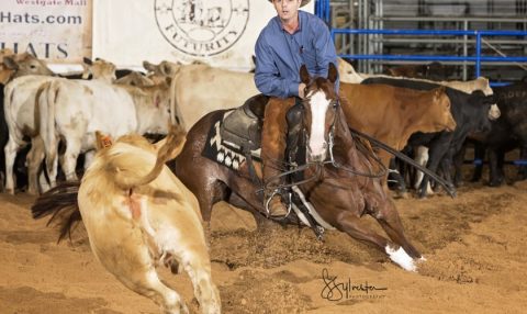 Geoffrey Sheehan vence Open do Mercuria World Series Of Cutting