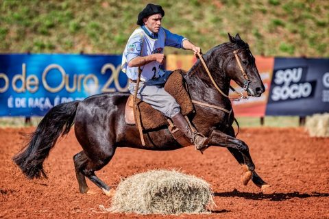Mais uma classificatória ao Freio de Ouro define finalistas