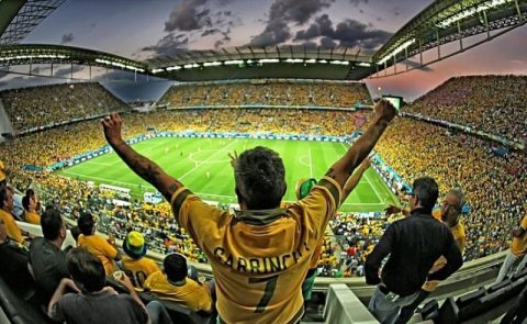 Copa do mundo, paixão nacional e o amor pelos cavalos
