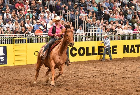 McNeill vence temporada do College Rodeo no Tambor