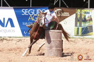 6ª Semana do Cavalo: 415 equinos participaram das competições