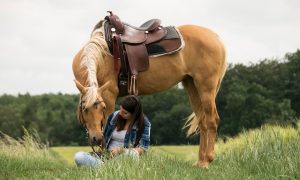 Top dez carreiras para quem ama cavalos