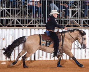 Futurity Haras Dan realizou sua 14ª edição em Avaré