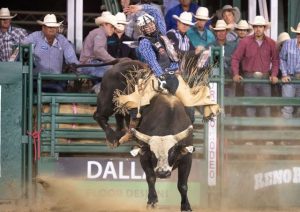 Riker Carter campeão do Xtreme Bulls em Reno