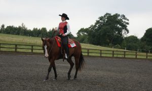 Sete coisas que todos os cavaleiros precisam saber