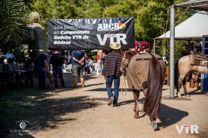 Um recorde atrás do outro no 15° Campeonato Gaúcho da ANCR