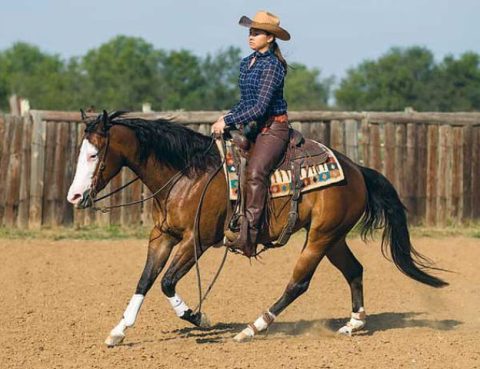 Aproveite melhor a primeira prova com seu cavalo