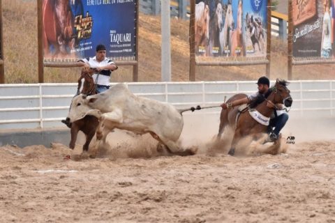 Égua entrou com duas vagas em Juazeiro e agora é líder do CPV