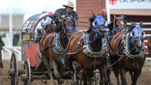 Ty Pozzobon Foundation em duas ações no Calgary Stampede