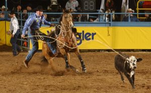 Erros e acertos no trabalho do juiz nas provas de laço