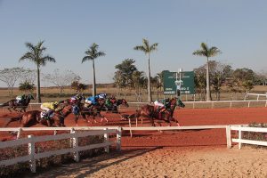 Special Gold Medal e Le Miracle vencem novamente em Sorocaba