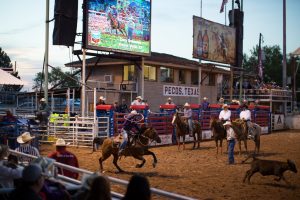 Cowboy Christmas já deu sorte ao brasileiro Junior Nogueira