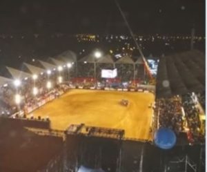 Country Bulls com Touro, Três Tambores e Ranch Sorting