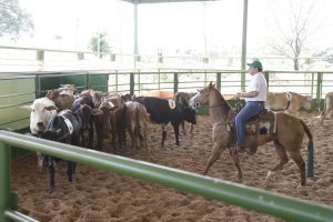 Walter Garcia um apaixonado por cavalos e por competição