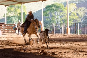 Copa Zona da Mata fez sua estreia em Minas Gerais