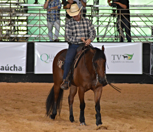 O grande vilão no treinamento de cavalos