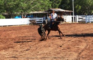 Regras e características das festas dos clubes do laço!