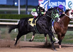 Seja mentalmente forte no esporte equestre