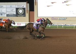 Havanah Goodtime produziu os últimos três campeões do Heritage Futurity