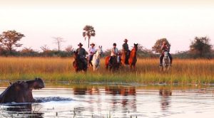 Safári a cavalo na África do Sul e Botsuana