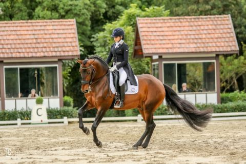 Equipe brasileira de Adestramento definida para os Jogos Equestres