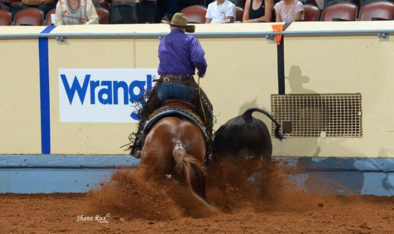 Working Cow Horse : McLaughlin em mais um título mundial