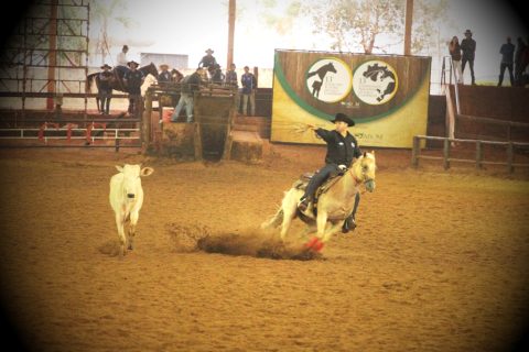 13° edição do Potro do Futuro e Campeonato Nacional de Laço Comprido