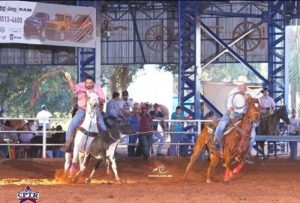 Campeonato Paulista de Team Roping mantém média na segunda etapa