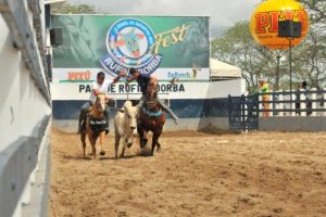 Parque Rufina Borba festejou 44ª Vaquejada com mais de mil inscritos