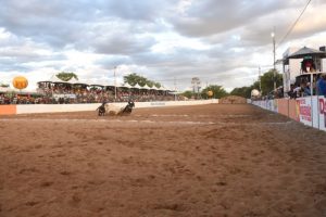 Vaquejada em Tabira reuniu mais de mil duplas e grandes disputas