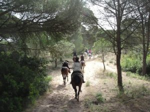 Cavalgada Andaluzia – campo e praia com Jerez de La Frontera e Sevilha