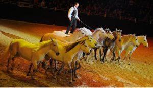 A cada dois anos, a Equitana se torna o capital do mundo equestre