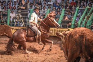 O 37° Freio de Ouro começa nesta quinta e competitividade é a tônica