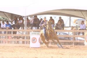 “Acho que minha relação com os cavalos vem de outras vidas”.