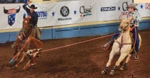 Guilherme Marchi: lazer com profissionalismo no Team Roping