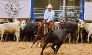 James Payne vence categoria até três anos no West Texas de Apartação