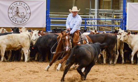 James Payne vence categoria até três anos no West Texas de Apartação