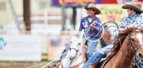 Junior Nogueira encerra temporada da PRCA como líder do Laço Pé