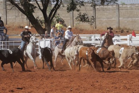Liga Leste Paulista de Team Penning se prepara para reta final