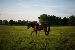 Quanto tempo suas seções de treino devem ter?