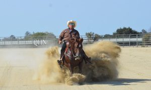 Andrea Fappani foi o nome do Reining by the Bay