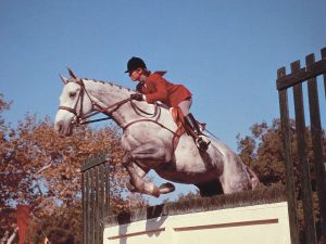 The Horse in the Gray Flannel Suit