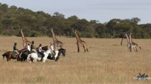 Serengeti Safari 